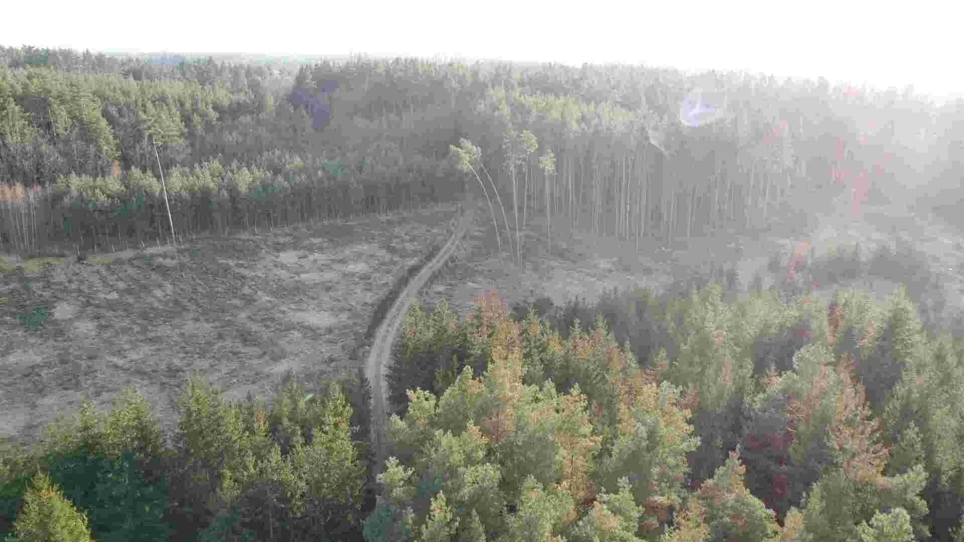 Prodej nemovitosti 5268 m² - foto 11