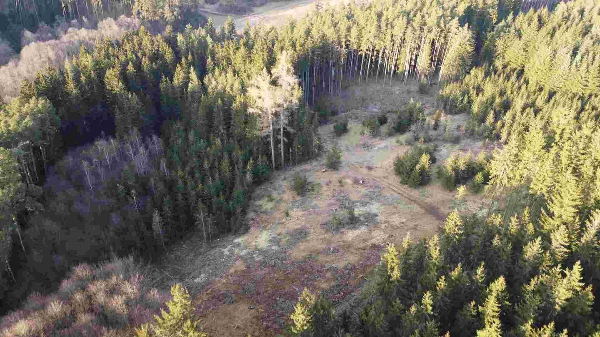 Prodej nemovitosti 5268 m² - foto 13
