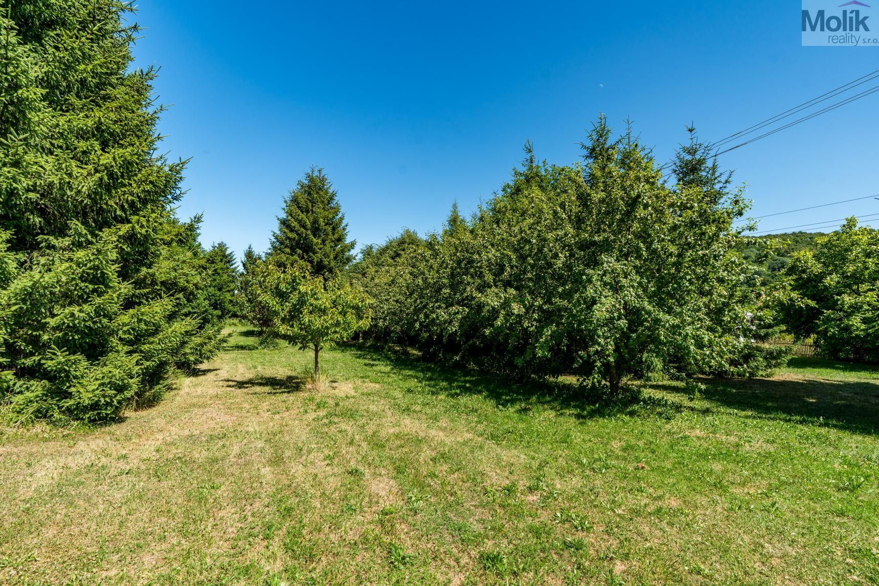 Prodej pozemku 4446 m² - foto 17