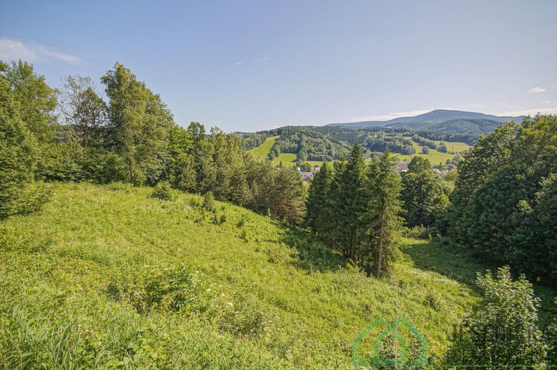 Prodej pozemku 12392 m² - foto 9