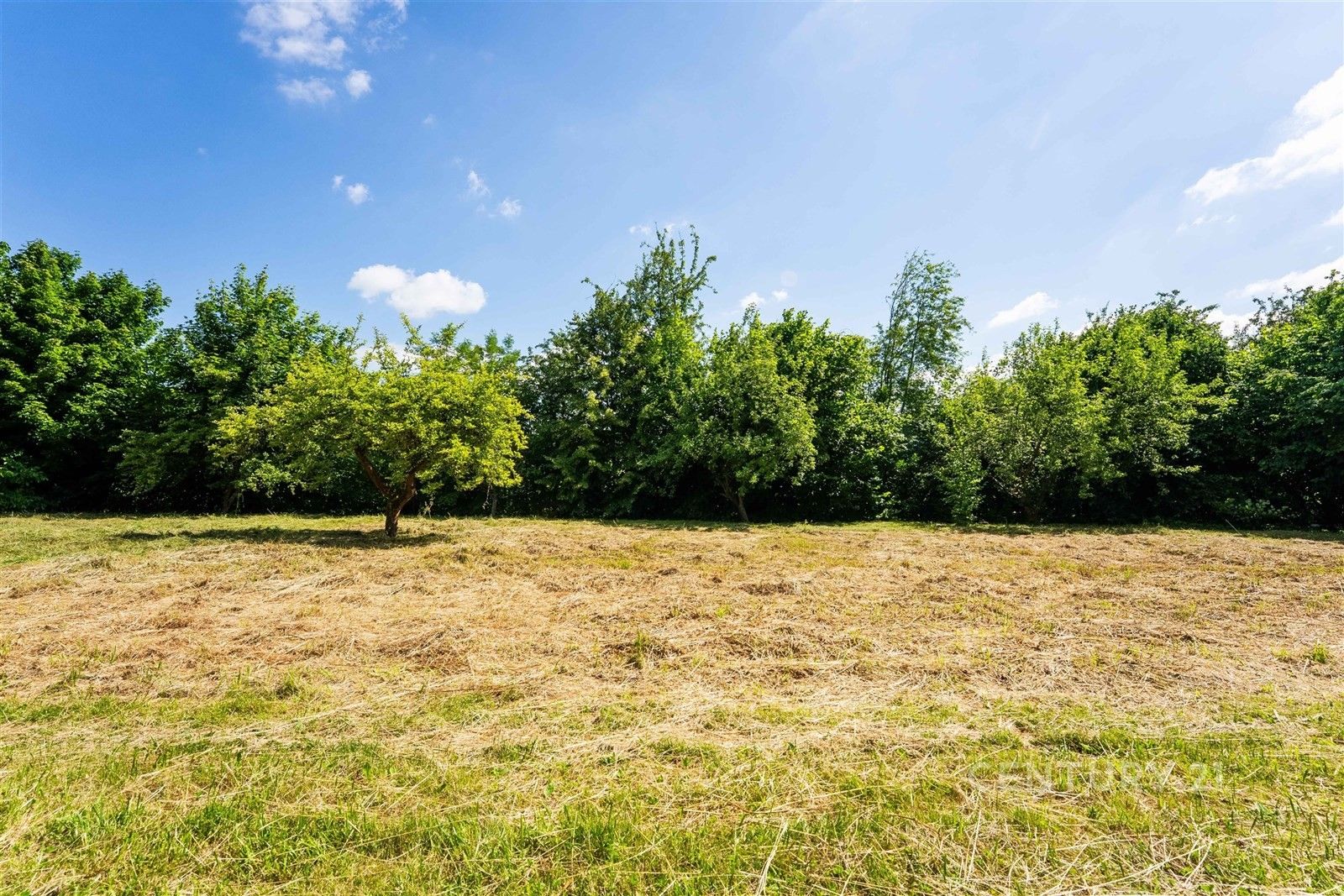 Prodej pozemku 2355 m² - foto 18