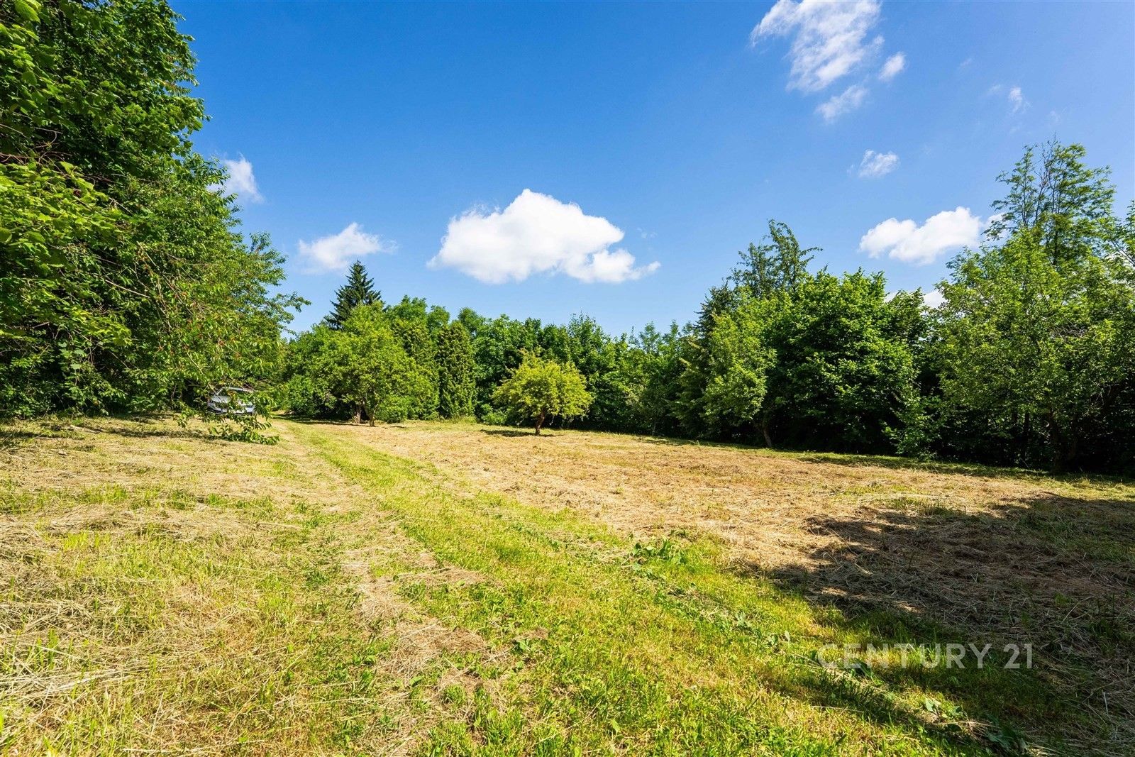Prodej pozemku 2355 m² - foto 19