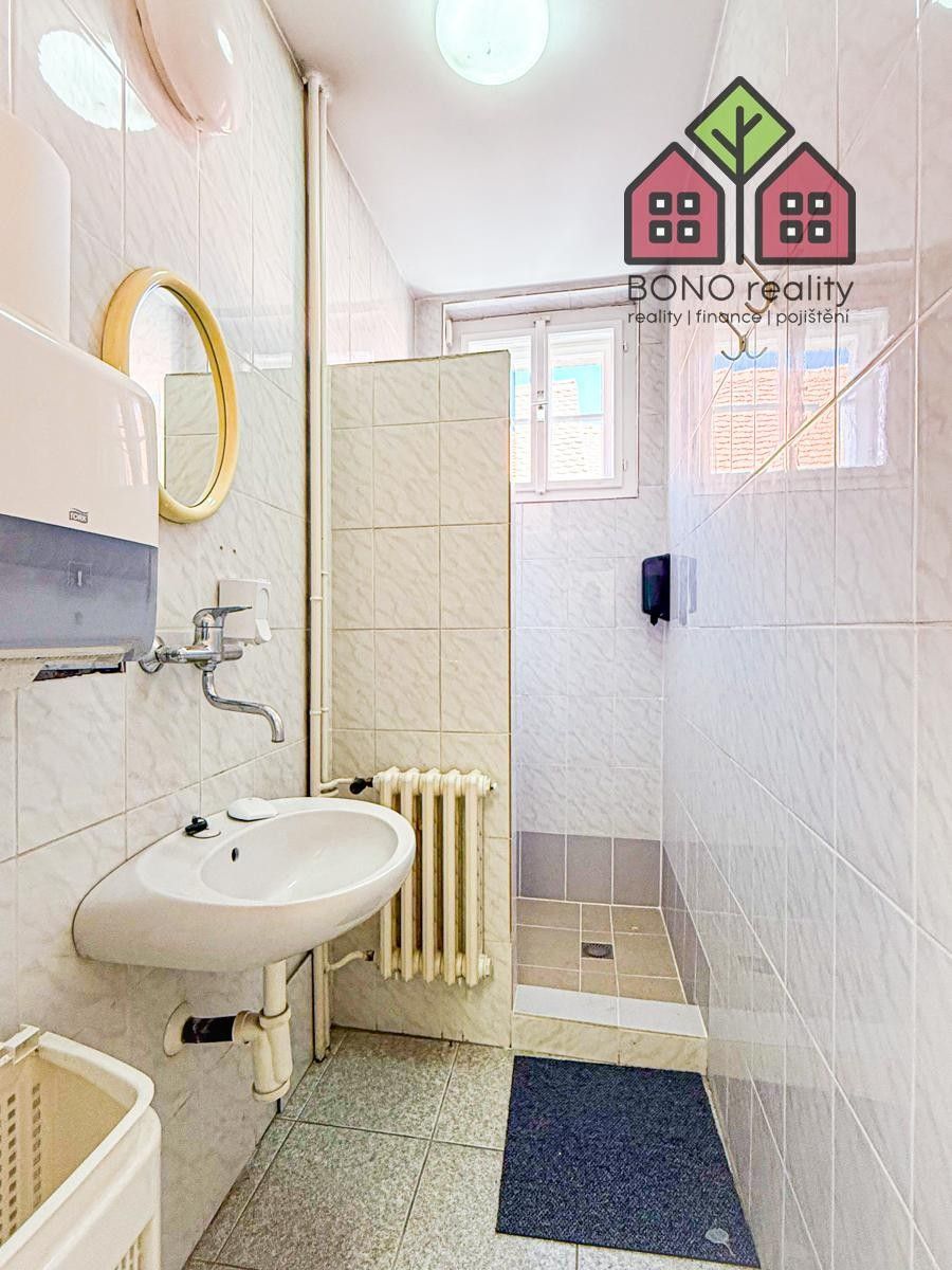 Pronájem komerčního prostoru 242 m² - foto 8