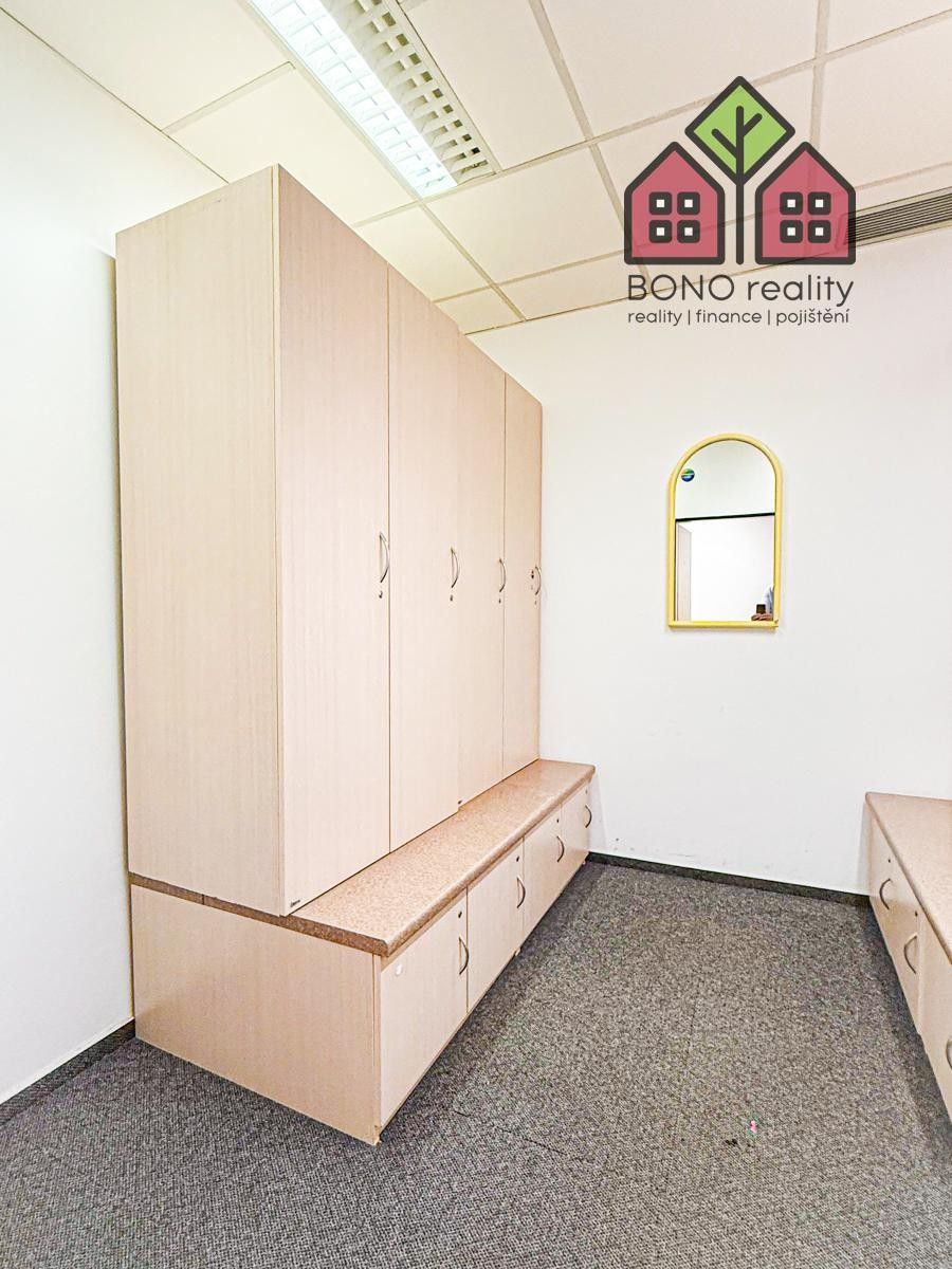 Pronájem komerčního prostoru 242 m² - foto 10