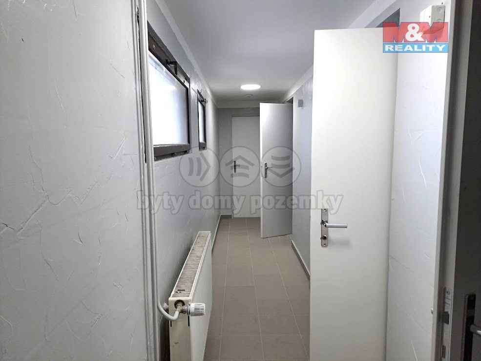 Pronájem komerčního prostoru 221 m² - foto 14
