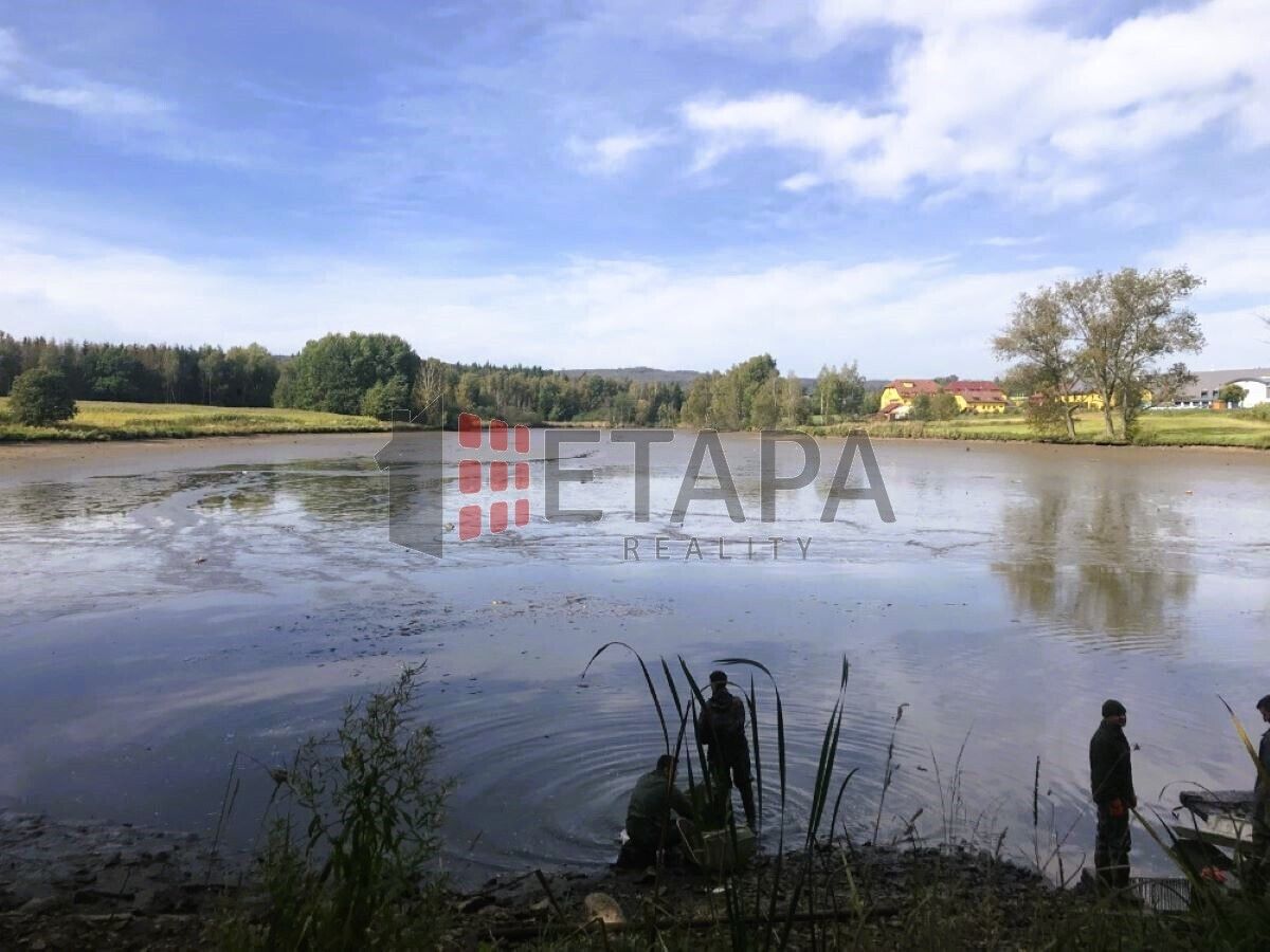 Prodej nemovitosti 241000 m² - foto 5