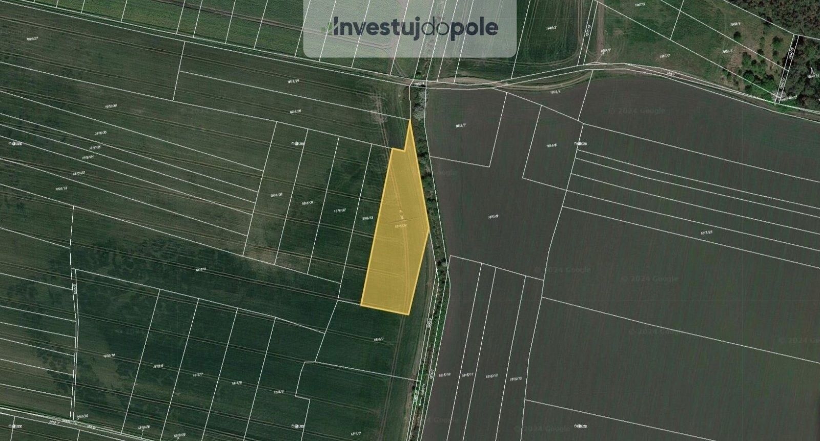 Prodej pozemku 3181 m² - foto 4