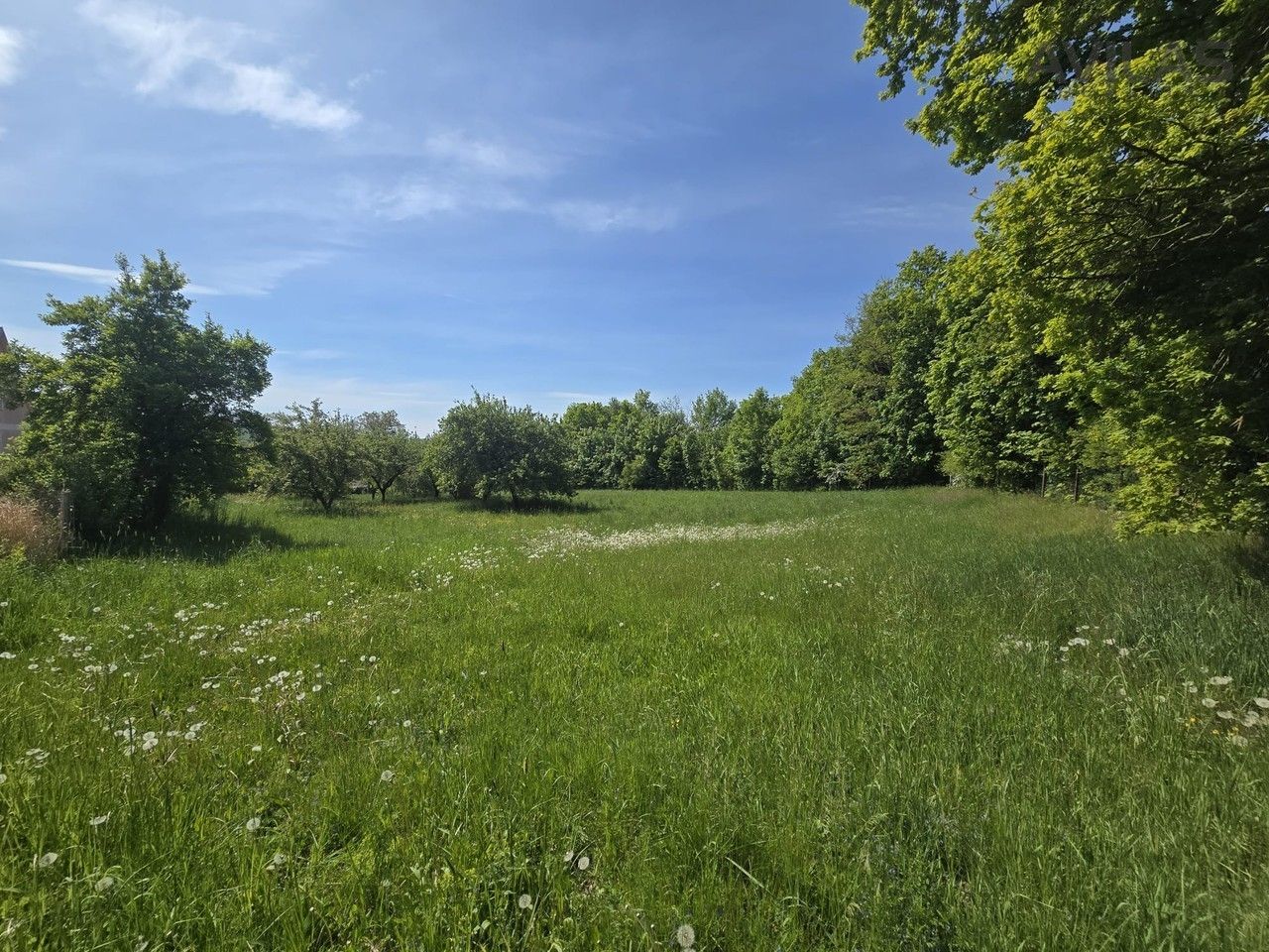 Prodej pozemku 970 m² - foto 8