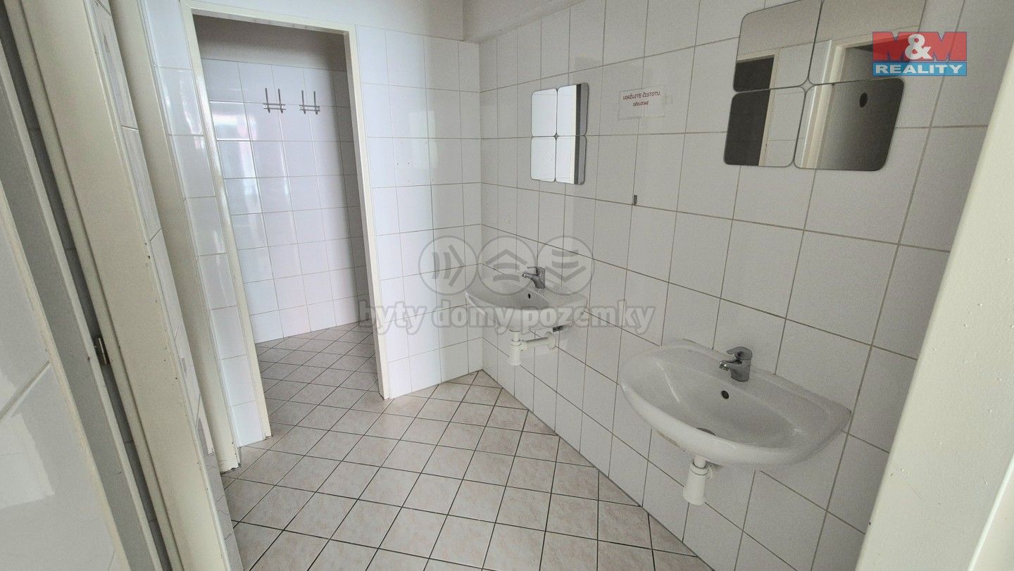 Pronájem komerčního prostoru 121 m² - foto 9