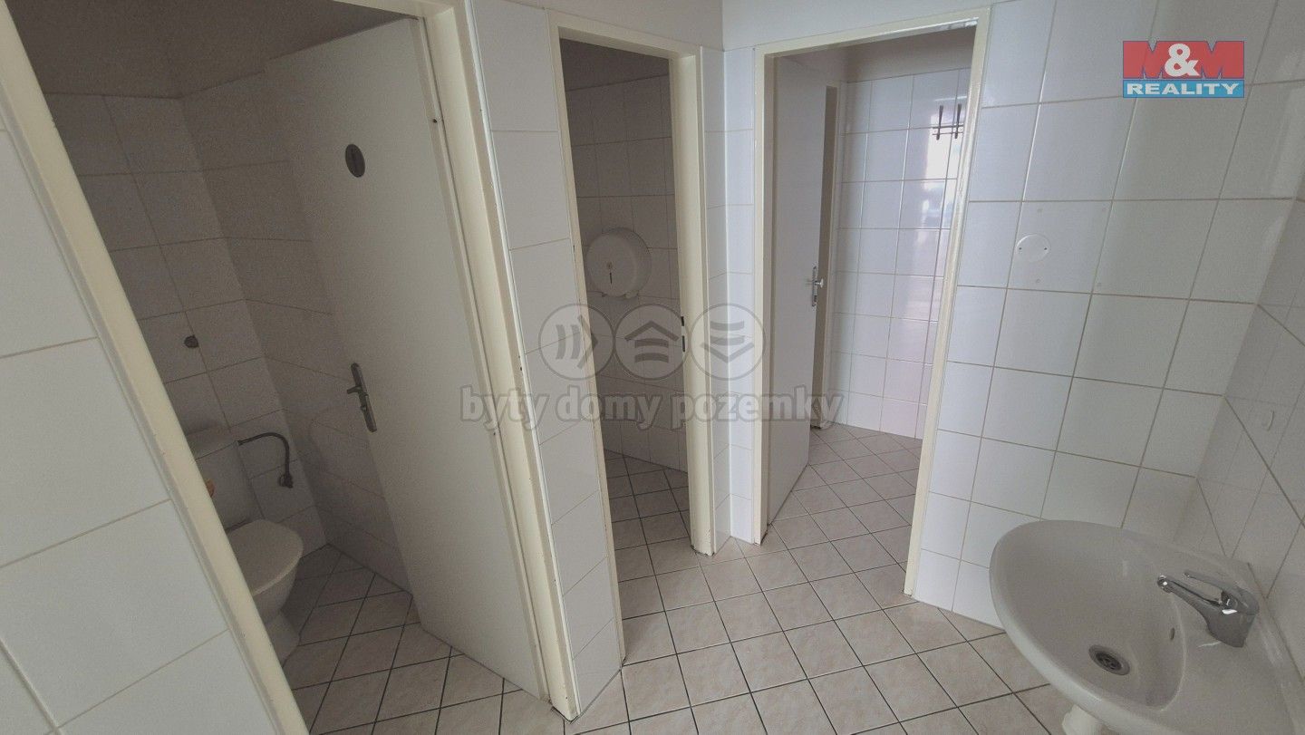 Pronájem komerčního prostoru 121 m² - foto 10