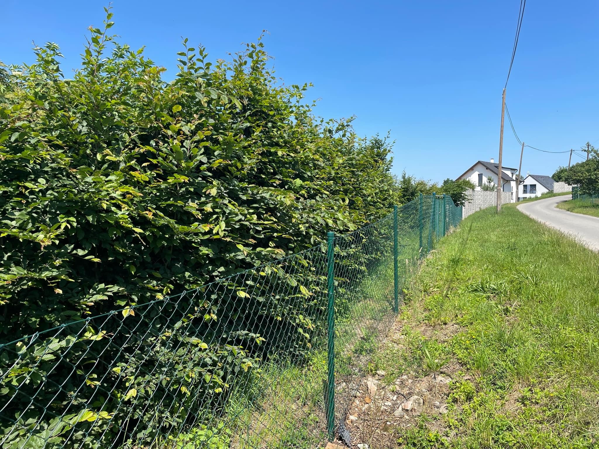 Prodej pozemku 1660 m² - foto 5