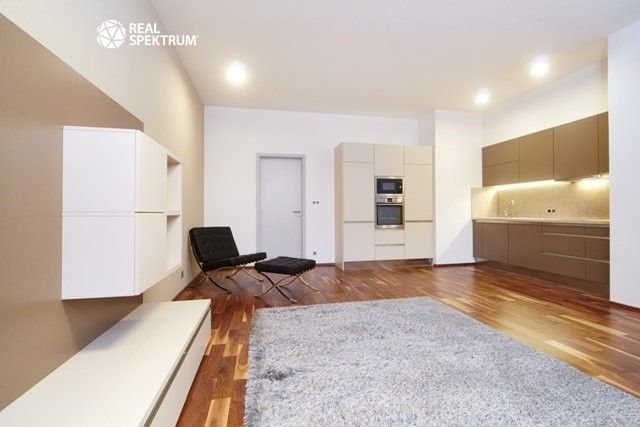 Pronájem bytu 2+kk 69 m² - foto 3