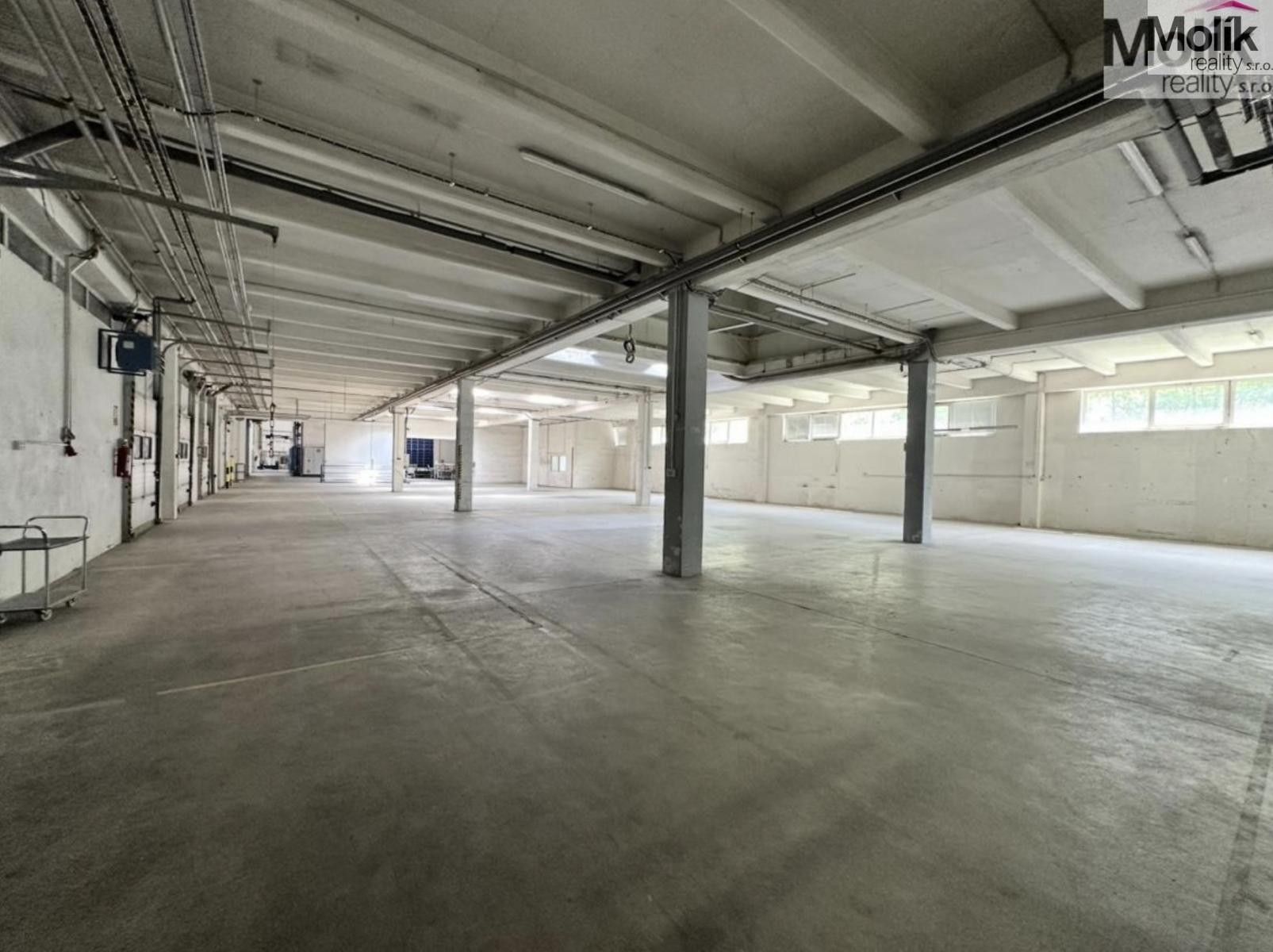 Pronájem komerčního prostoru 7300 m² - foto 6