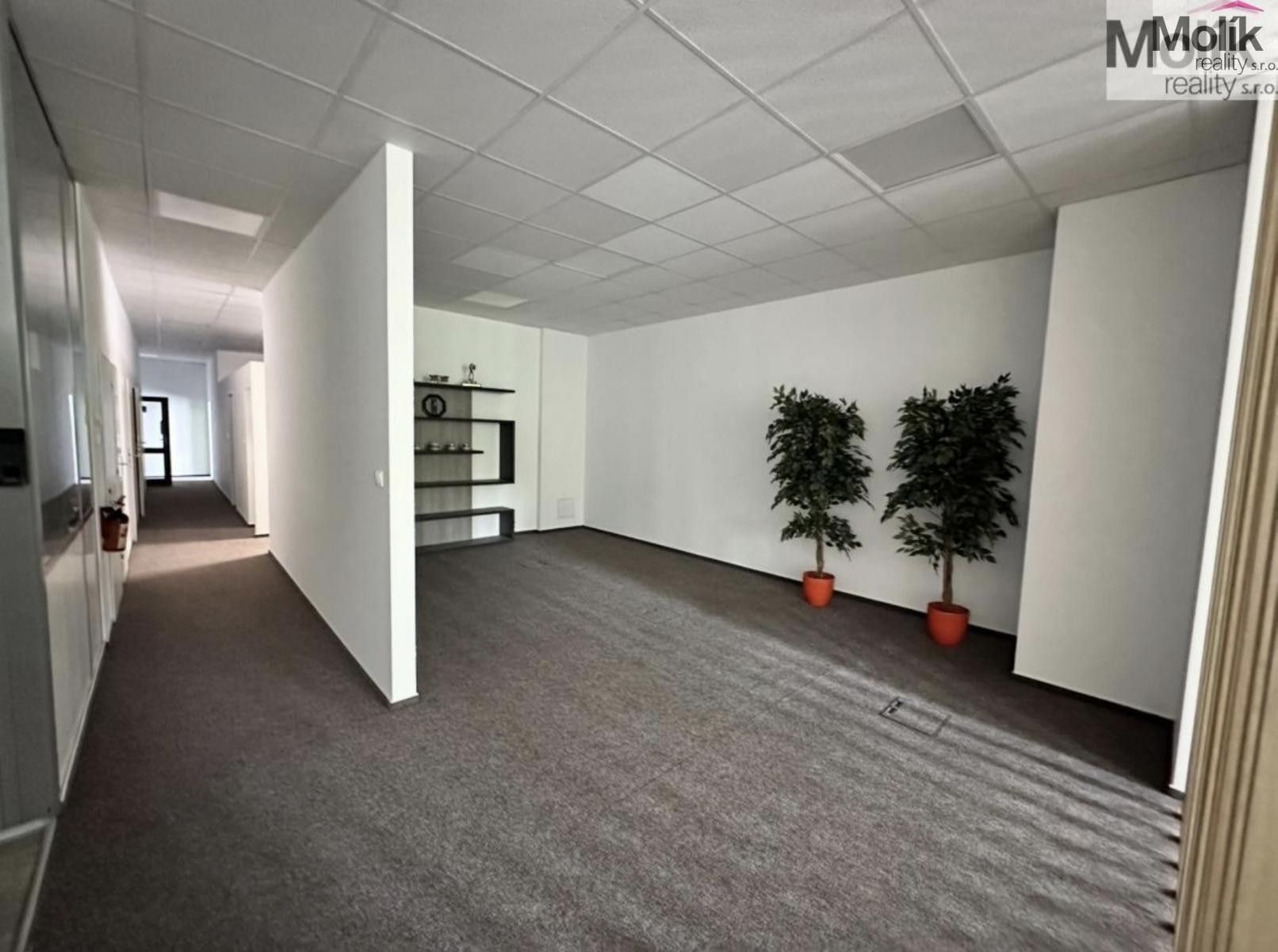 Pronájem komerčního prostoru 7300 m² - foto 23