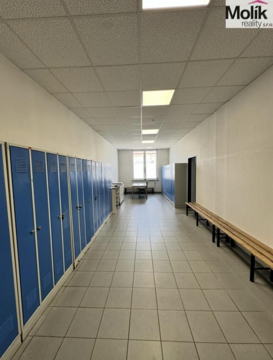 Pronájem komerčního prostoru 7300 m² - foto 25