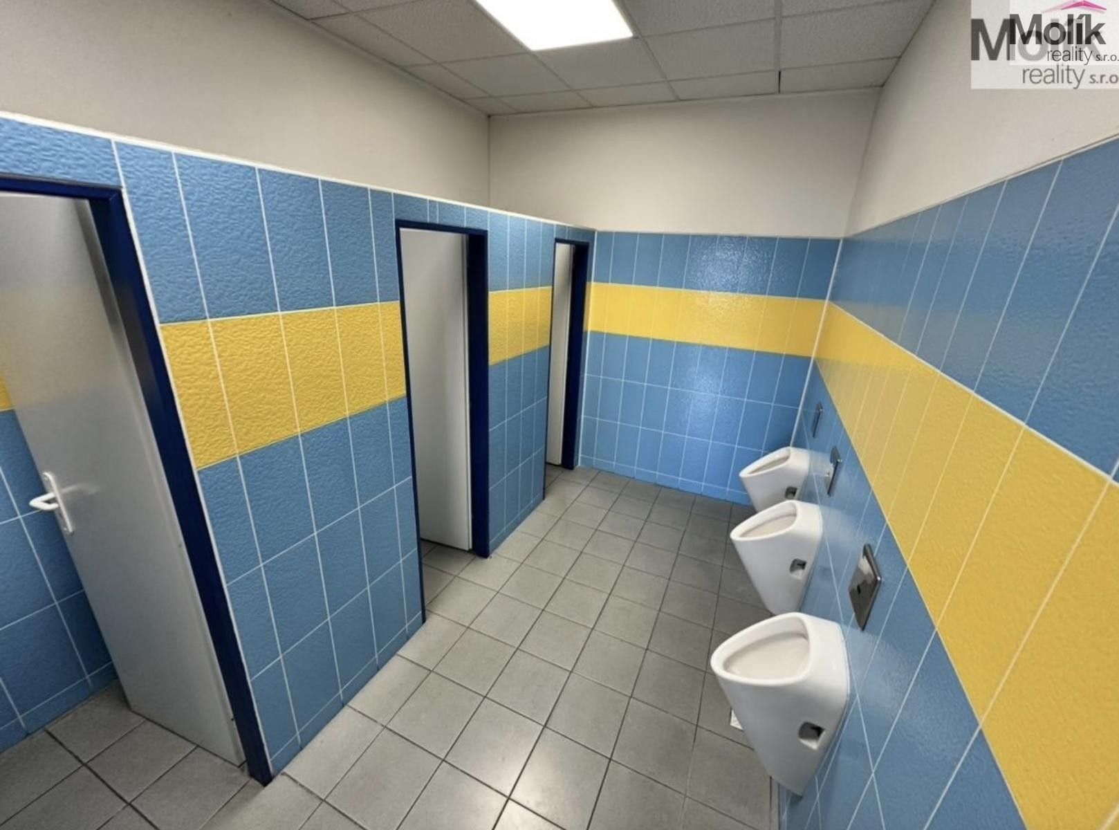 Pronájem komerčního prostoru 7300 m² - foto 27