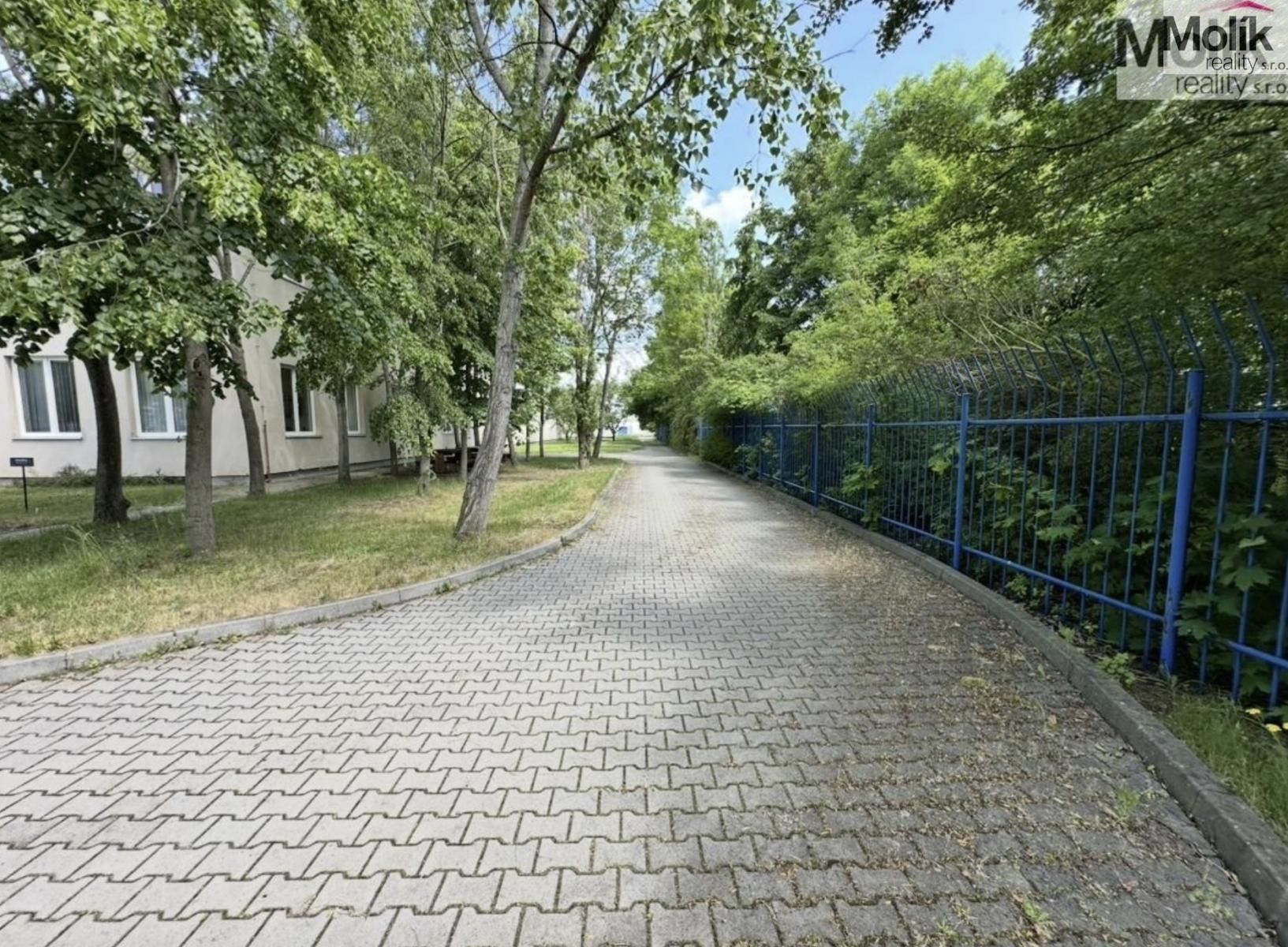 Pronájem komerčního prostoru 7300 m² - foto 38