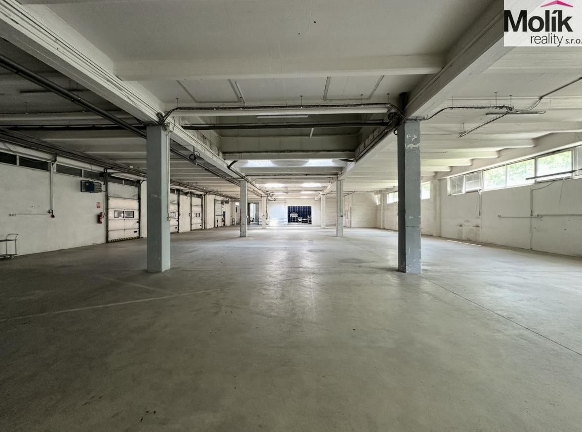 Prodej komerčního prostoru 30000 m² - foto 7