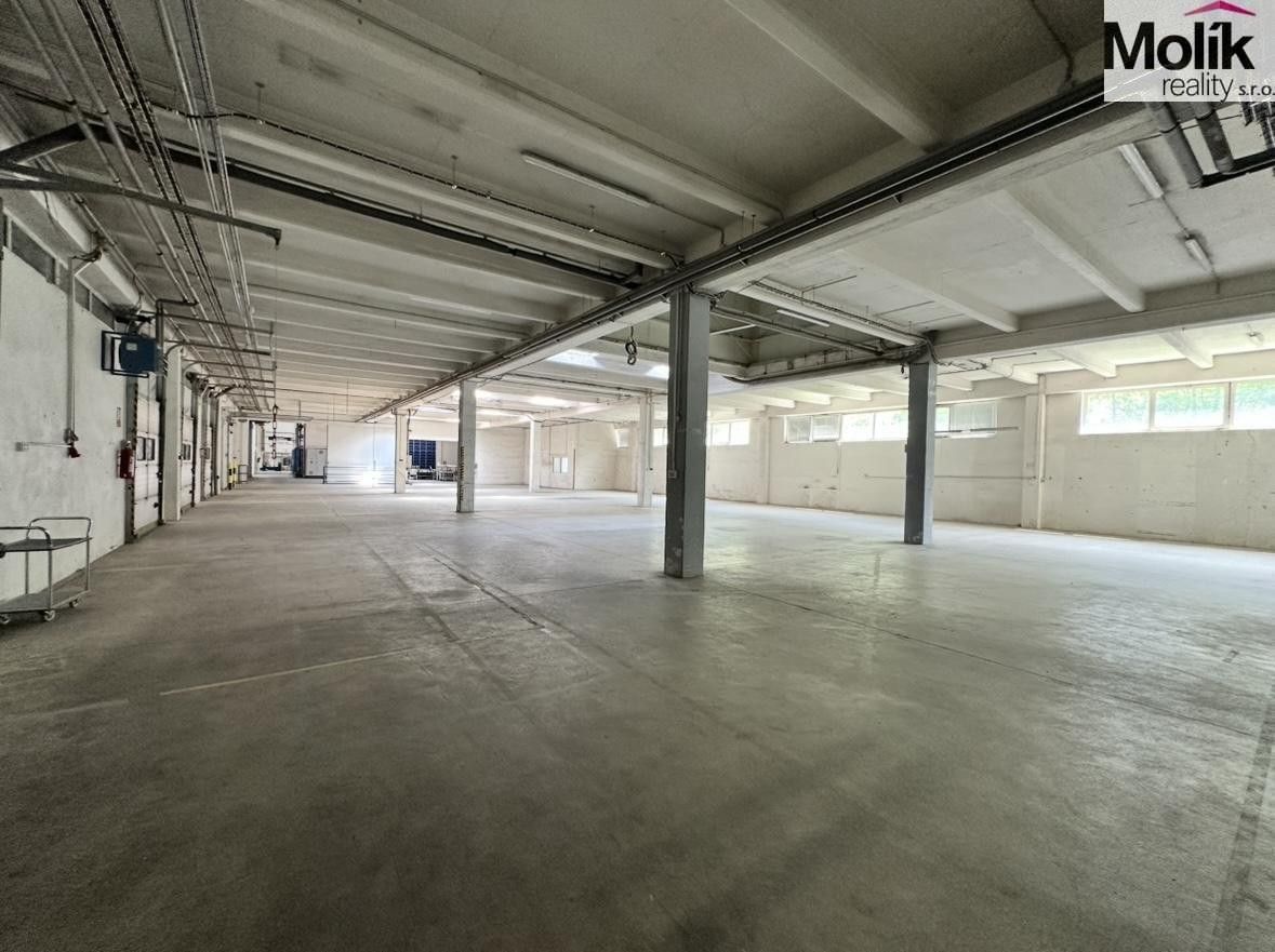 Prodej komerčního prostoru 30000 m² - foto 6