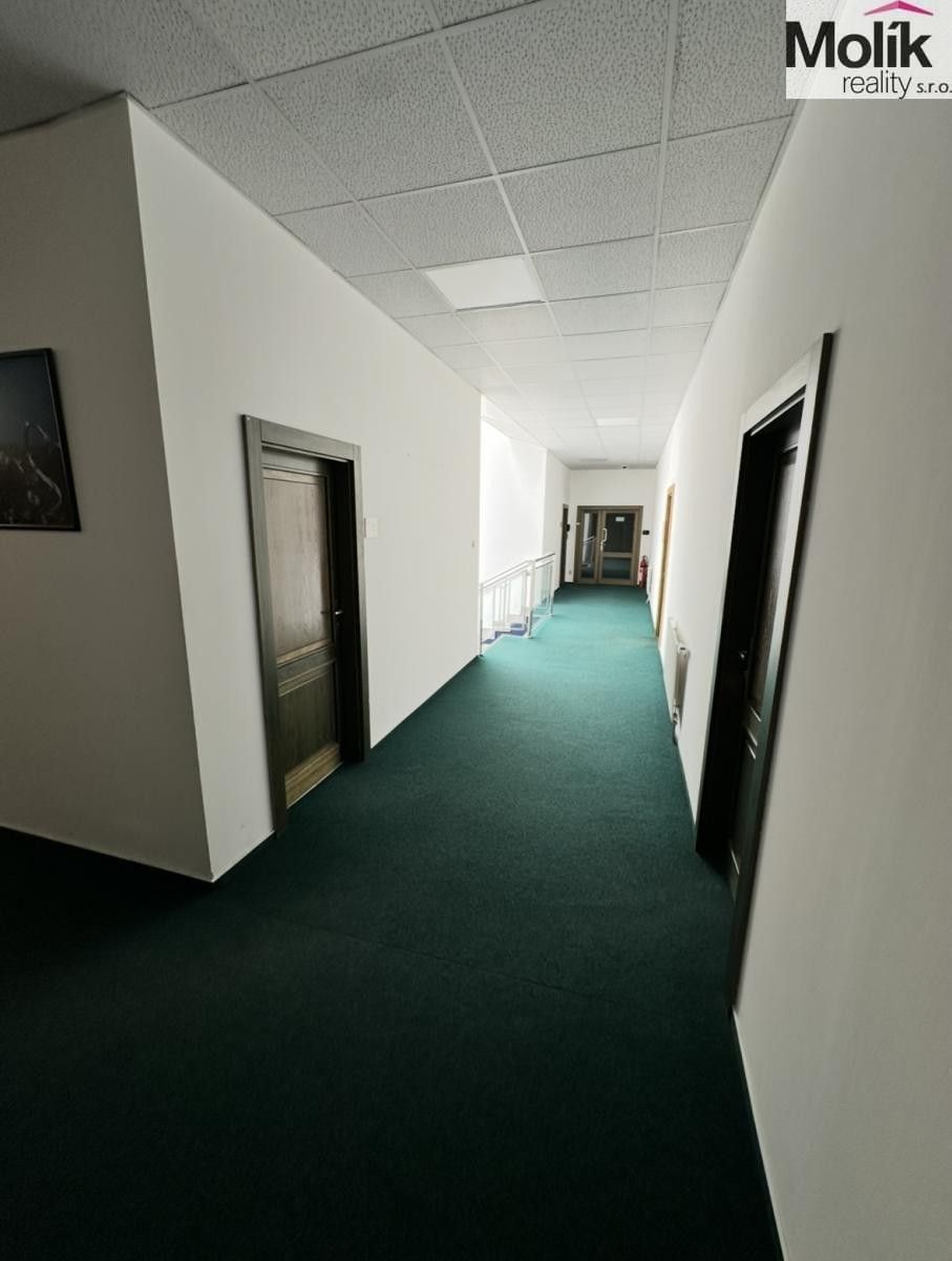 Prodej komerčního prostoru 30000 m² - foto 21