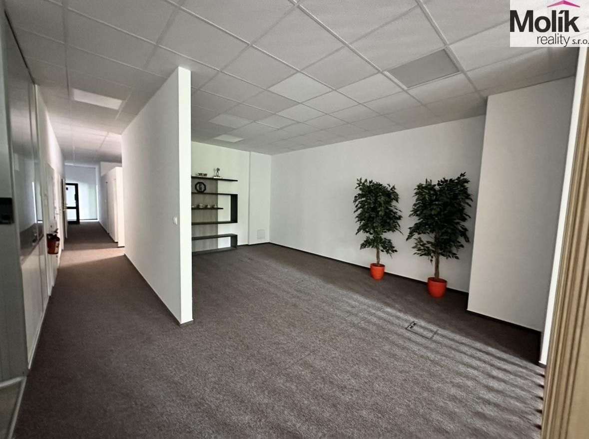 Prodej komerčního prostoru 30000 m² - foto 23