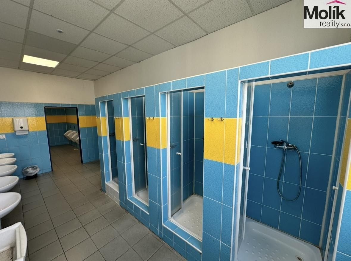 Prodej komerčního prostoru 30000 m² - foto 26