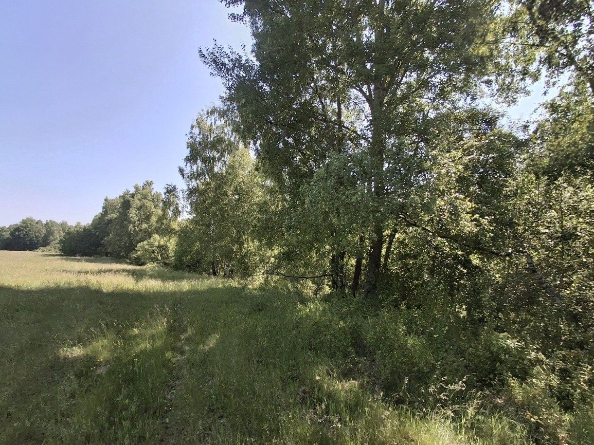 Prodej nemovitosti - foto 4