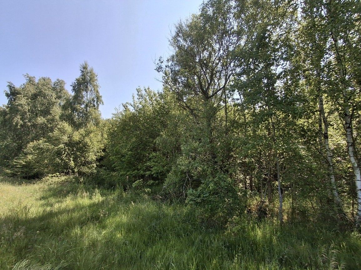 Prodej nemovitosti - foto 6