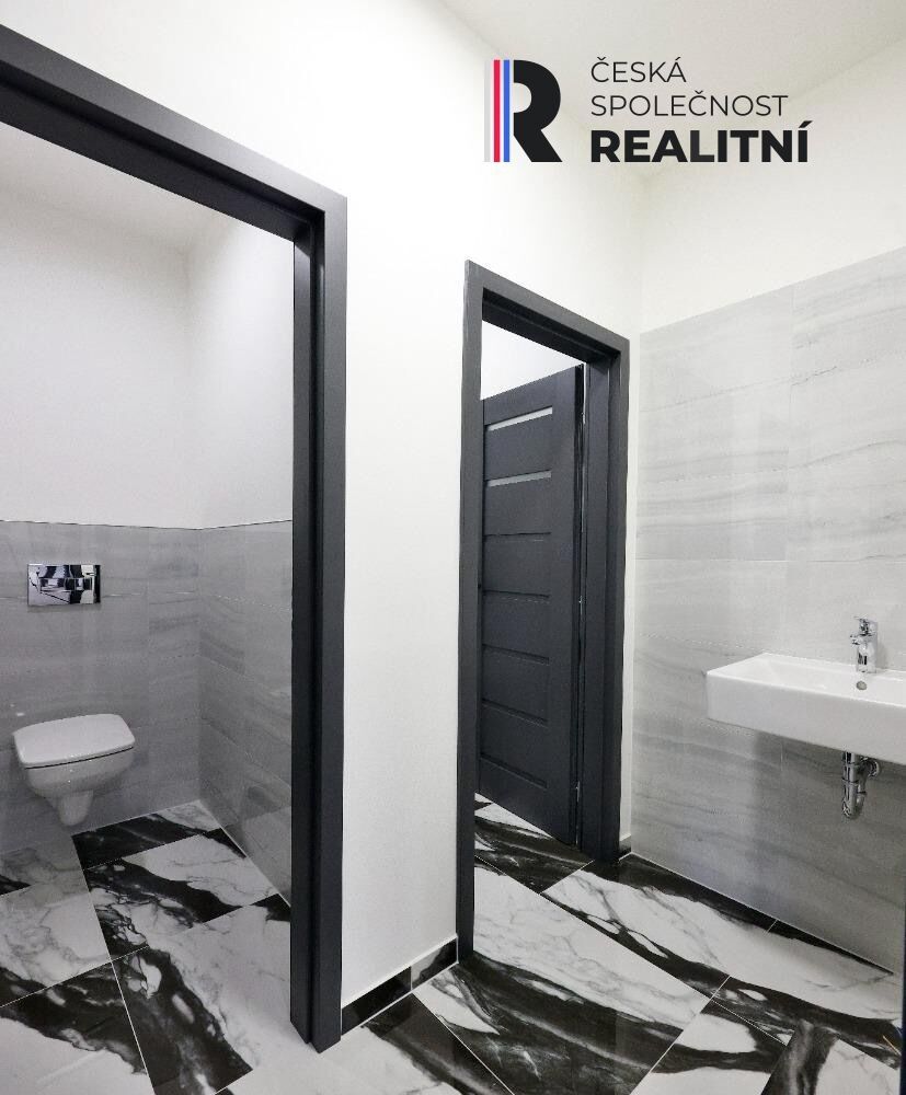 Pronájem komerčního prostoru 163 m² - foto 5