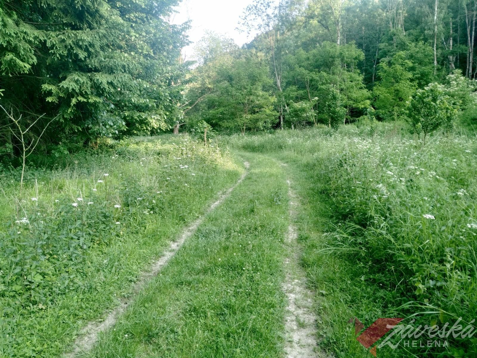 Prodej pozemku 11767 m² - foto 19