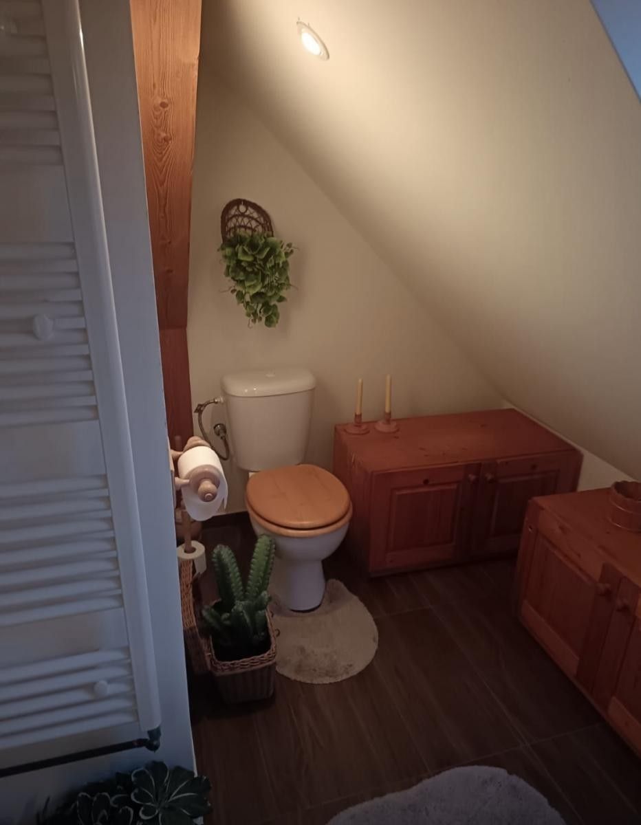 Prodej domu 300 m² - foto 4