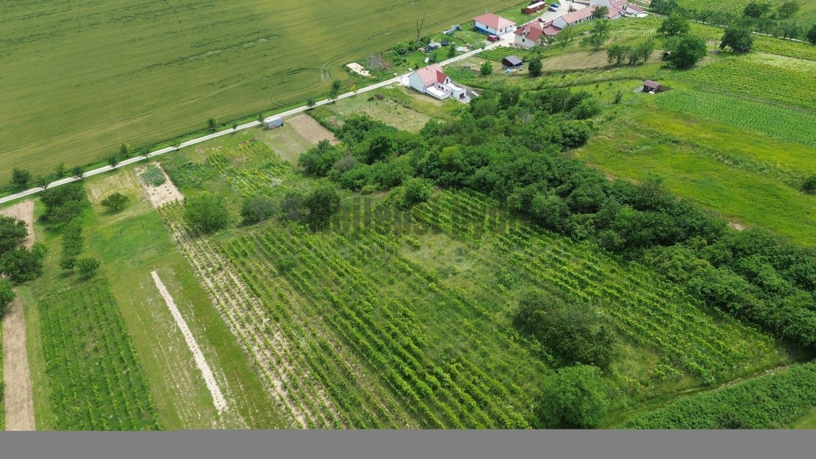 Prodej pozemku 3395 m² - foto 3