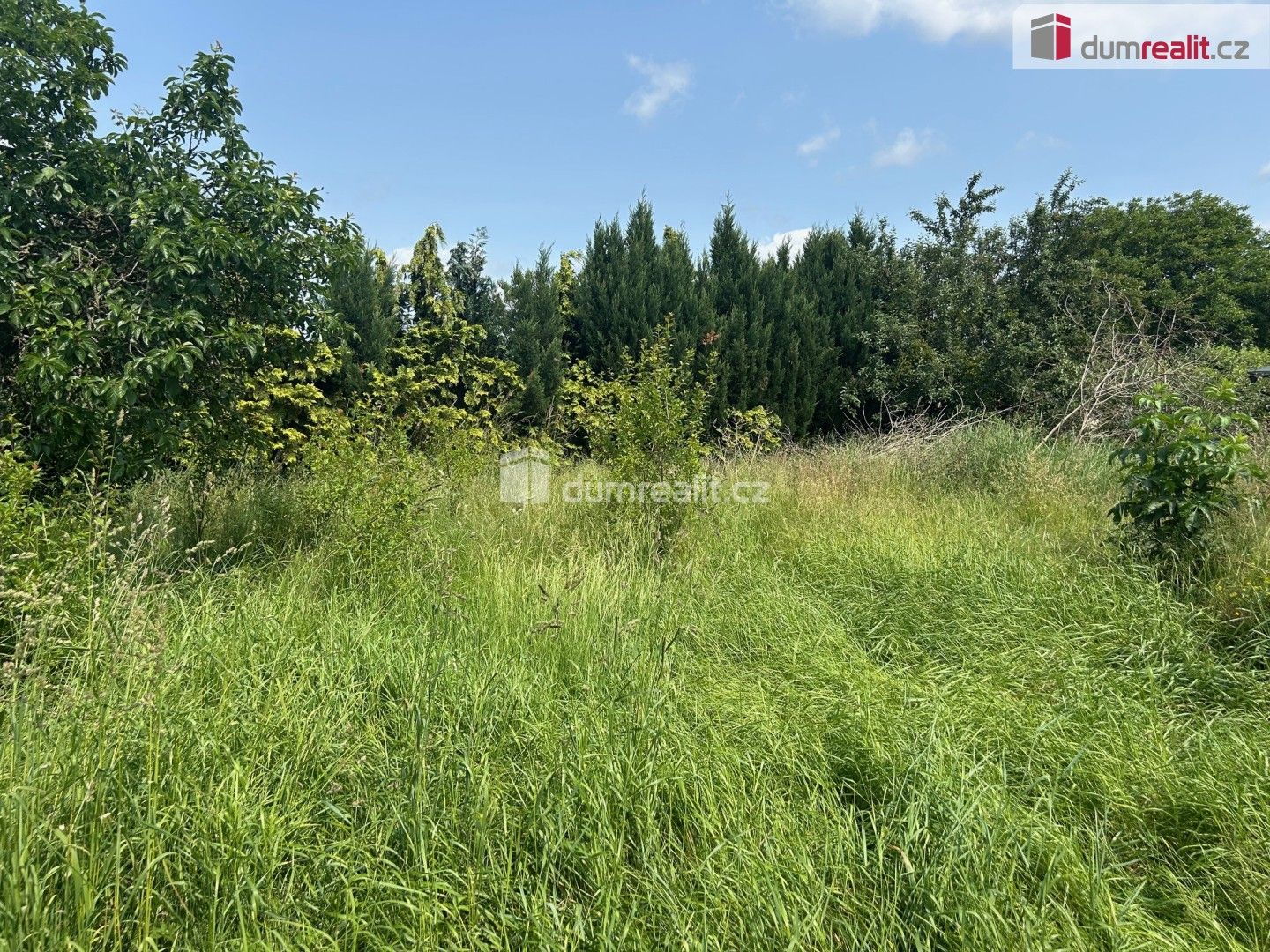 Prodej domu 722 m² - foto 1