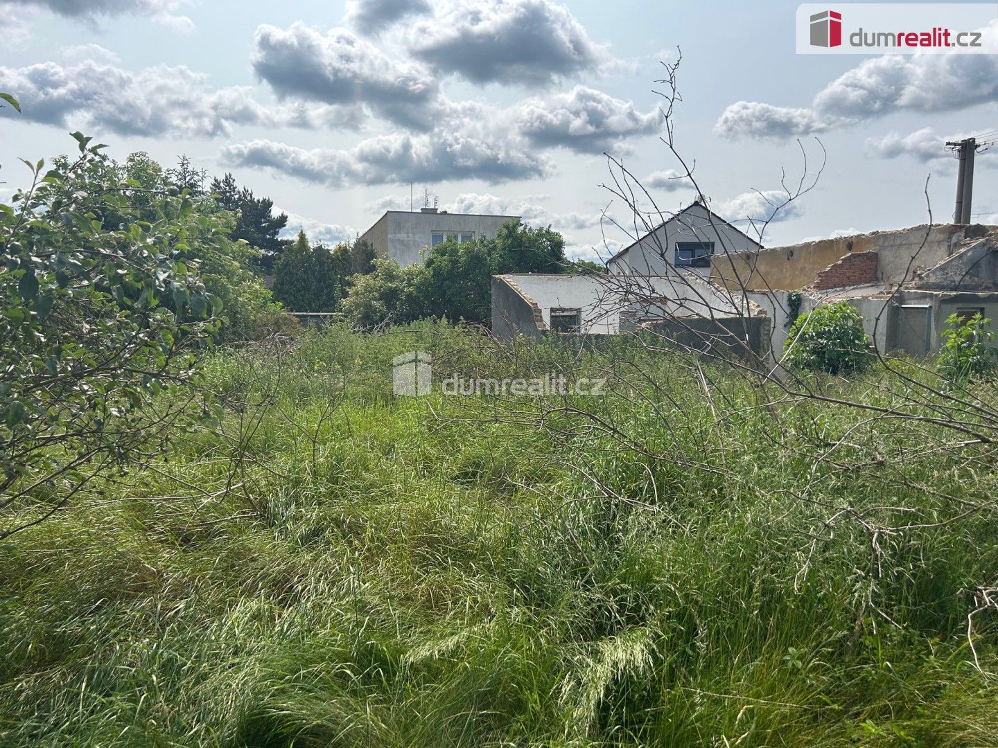 Prodej domu 722 m² - foto 3