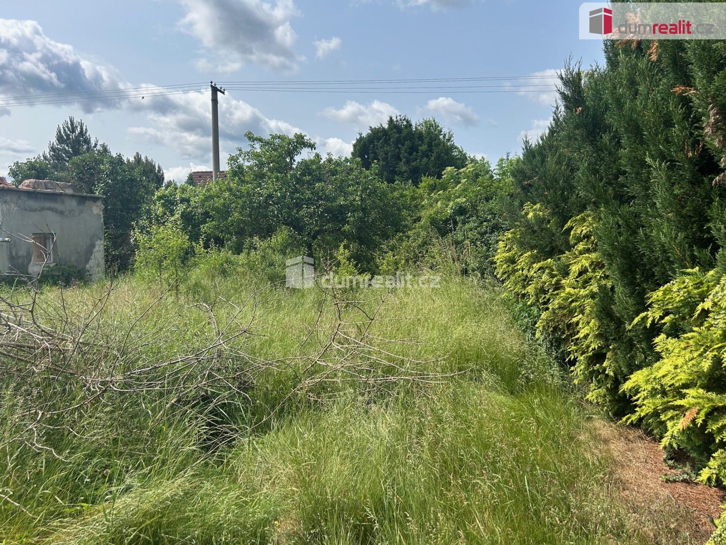 Prodej domu 722 m² - foto 2
