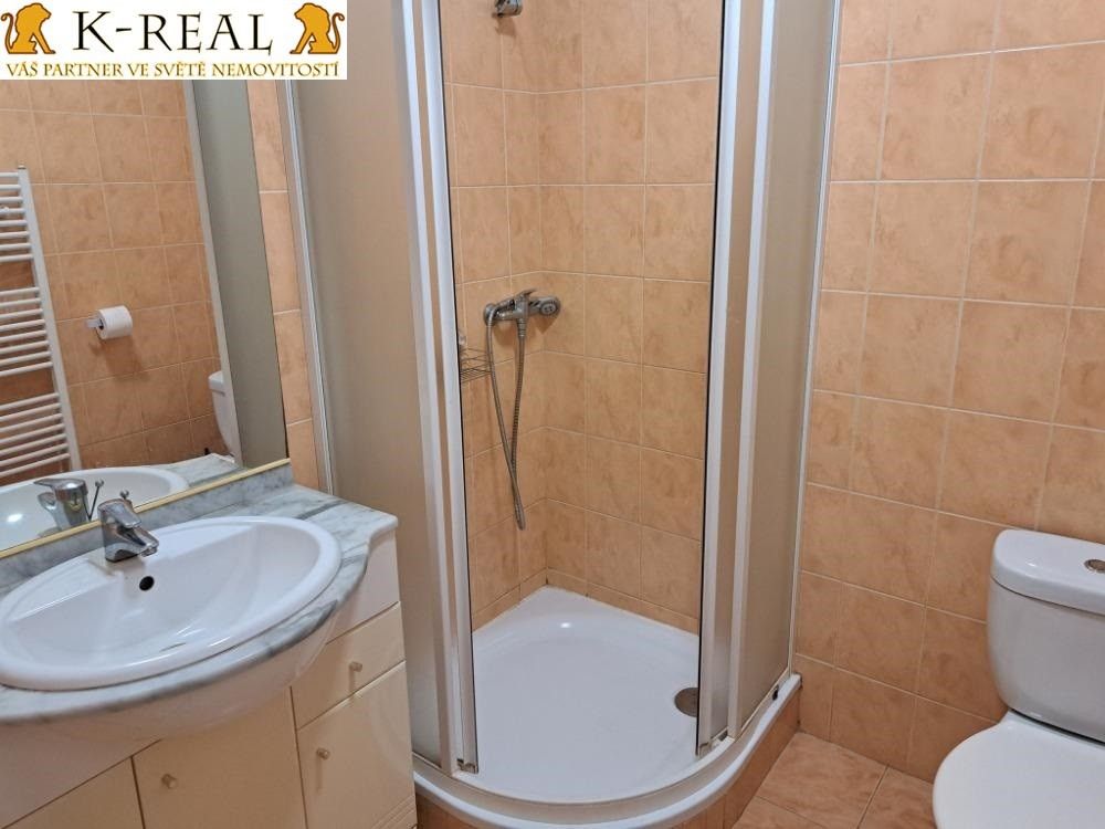 Pronájem bytu 1+kk 30 m² - foto 3