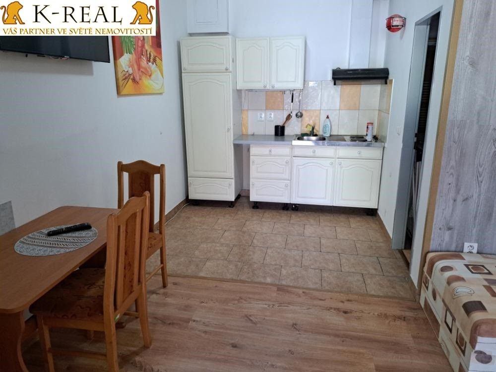 Pronájem bytu 1+kk 30 m² - foto 5