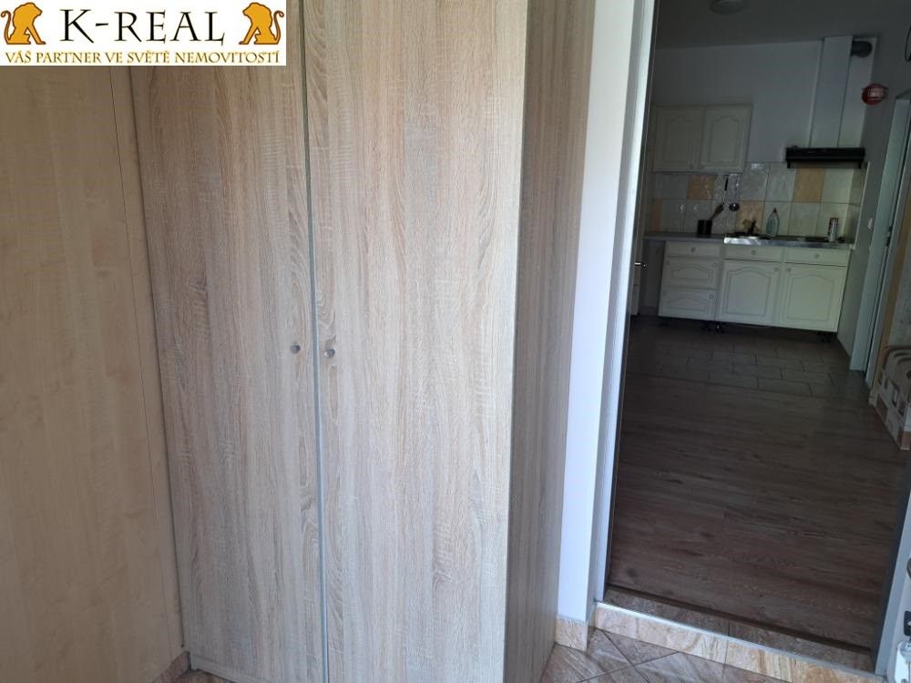 Pronájem bytu 1+kk 30 m² - foto 11