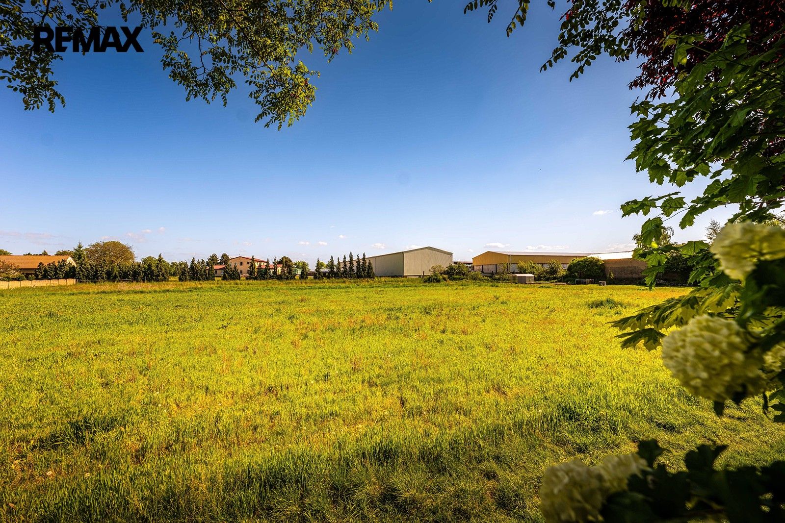 Prodej pozemku 3278 m² - foto 10