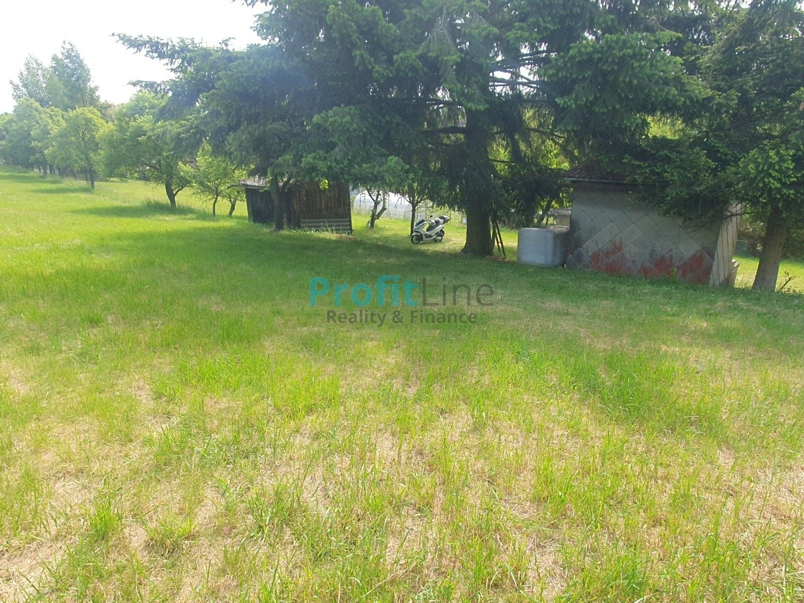 Prodej pozemku 2946 m² - foto 7