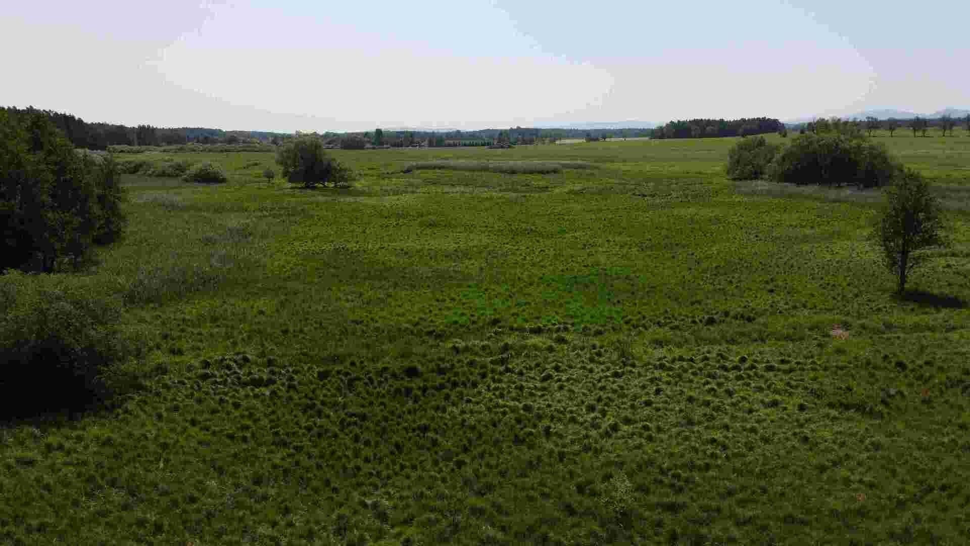 Prodej nemovitosti 20535 m² - foto 4