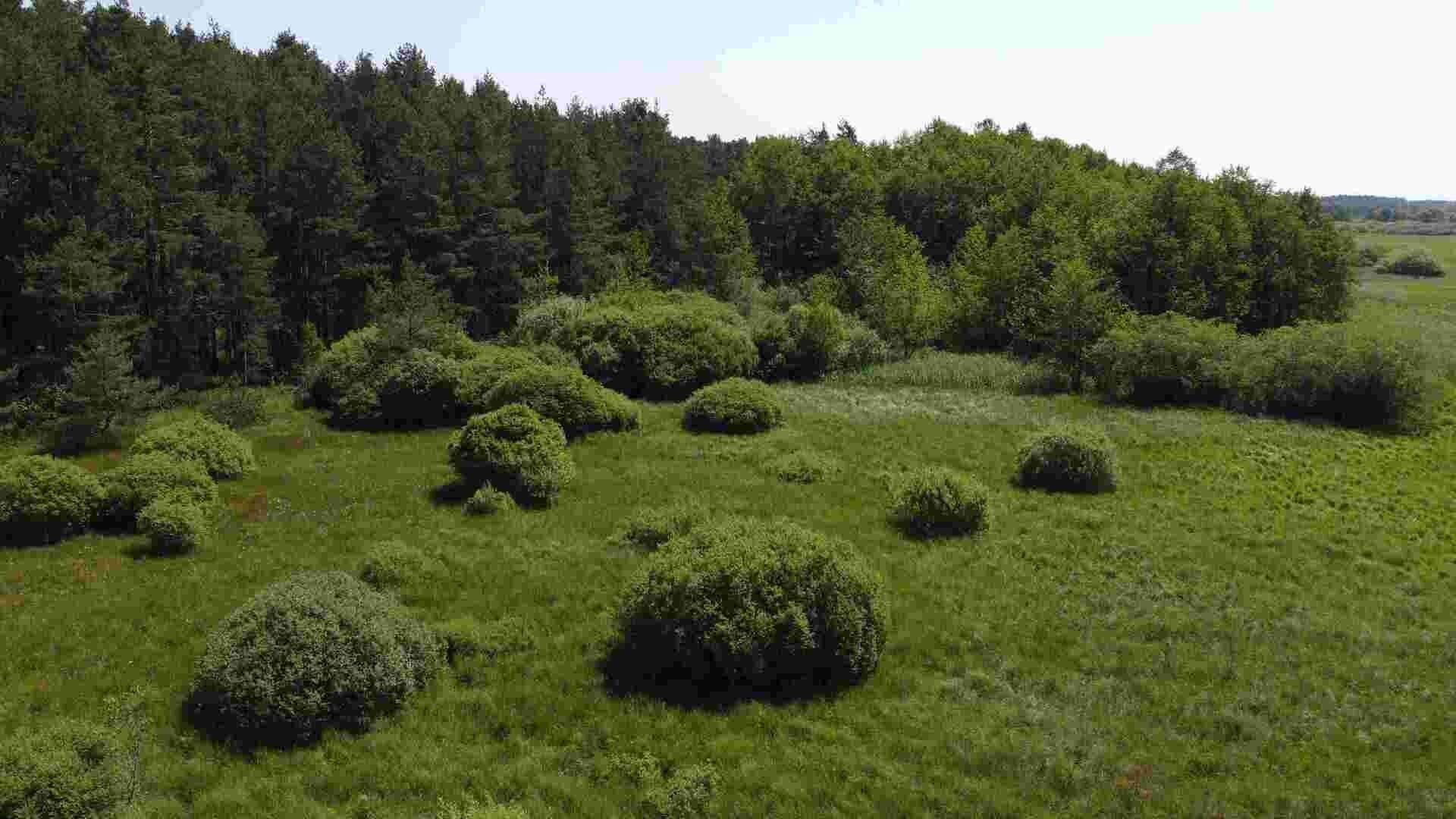 Prodej nemovitosti 20535 m² - foto 3