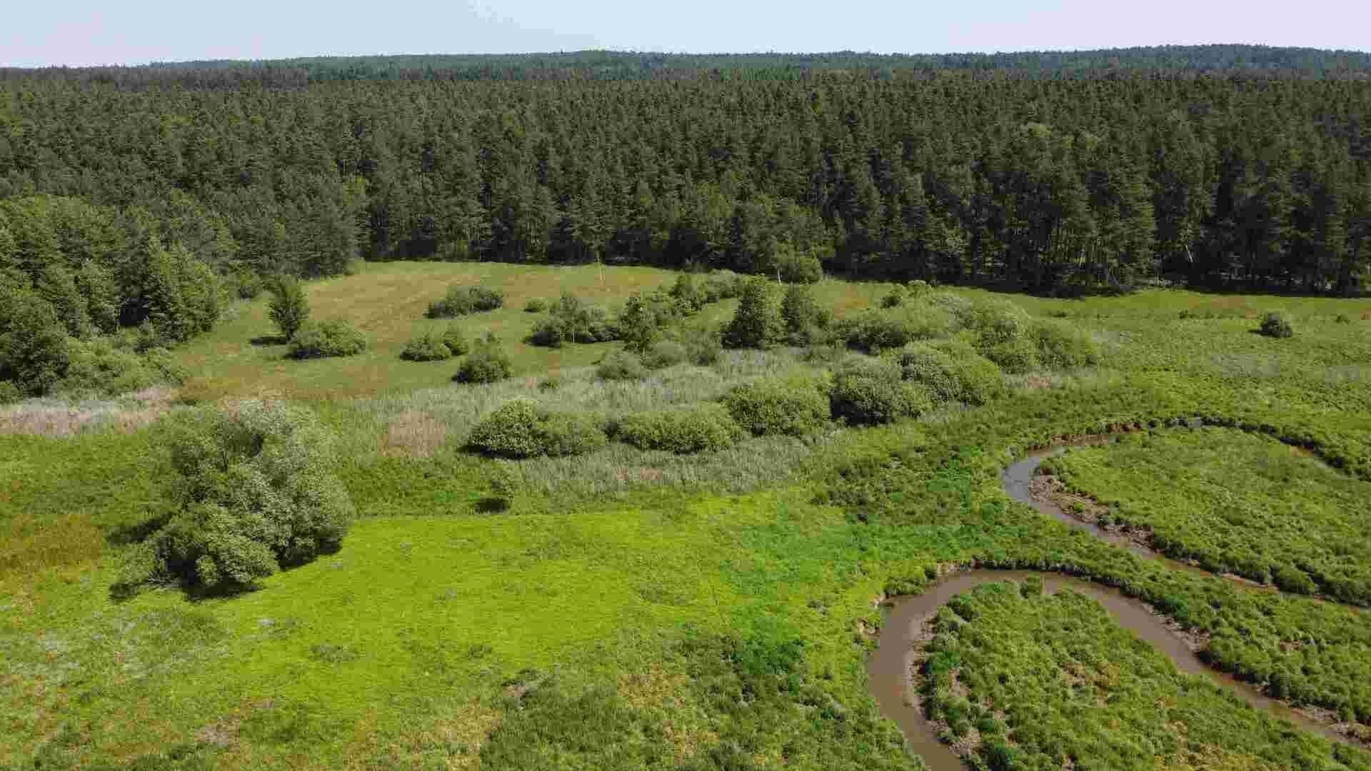 Prodej nemovitosti 20535 m² - foto 9
