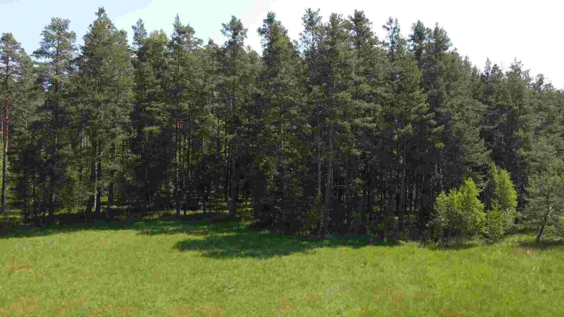 Prodej nemovitosti 20535 m² - foto 12