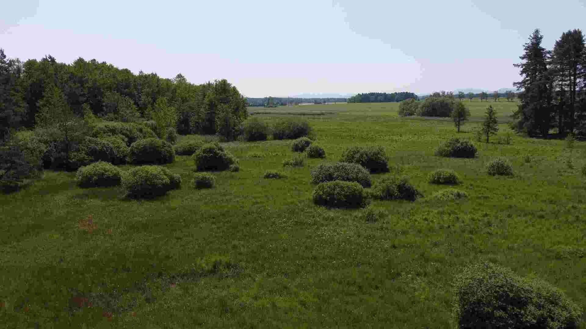 Prodej nemovitosti 20535 m² - foto 13