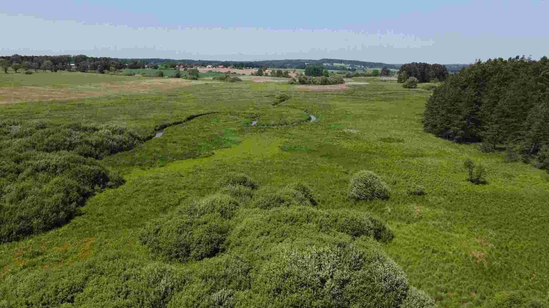 Prodej nemovitosti 20535 m² - foto 14