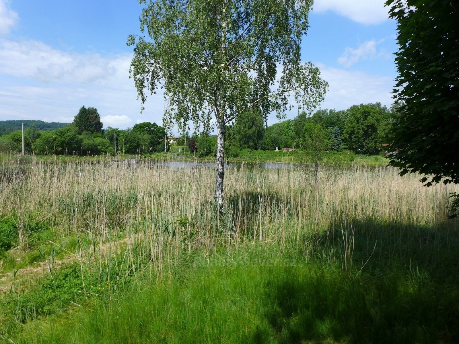 Prodej domu 150 m² - foto 22