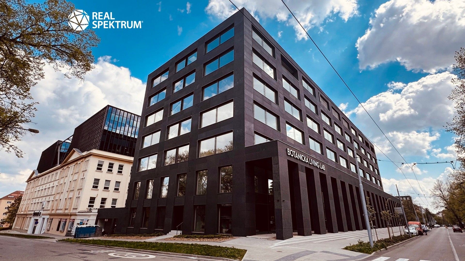 Pronájem komerčního prostoru 1733 m² - foto 9