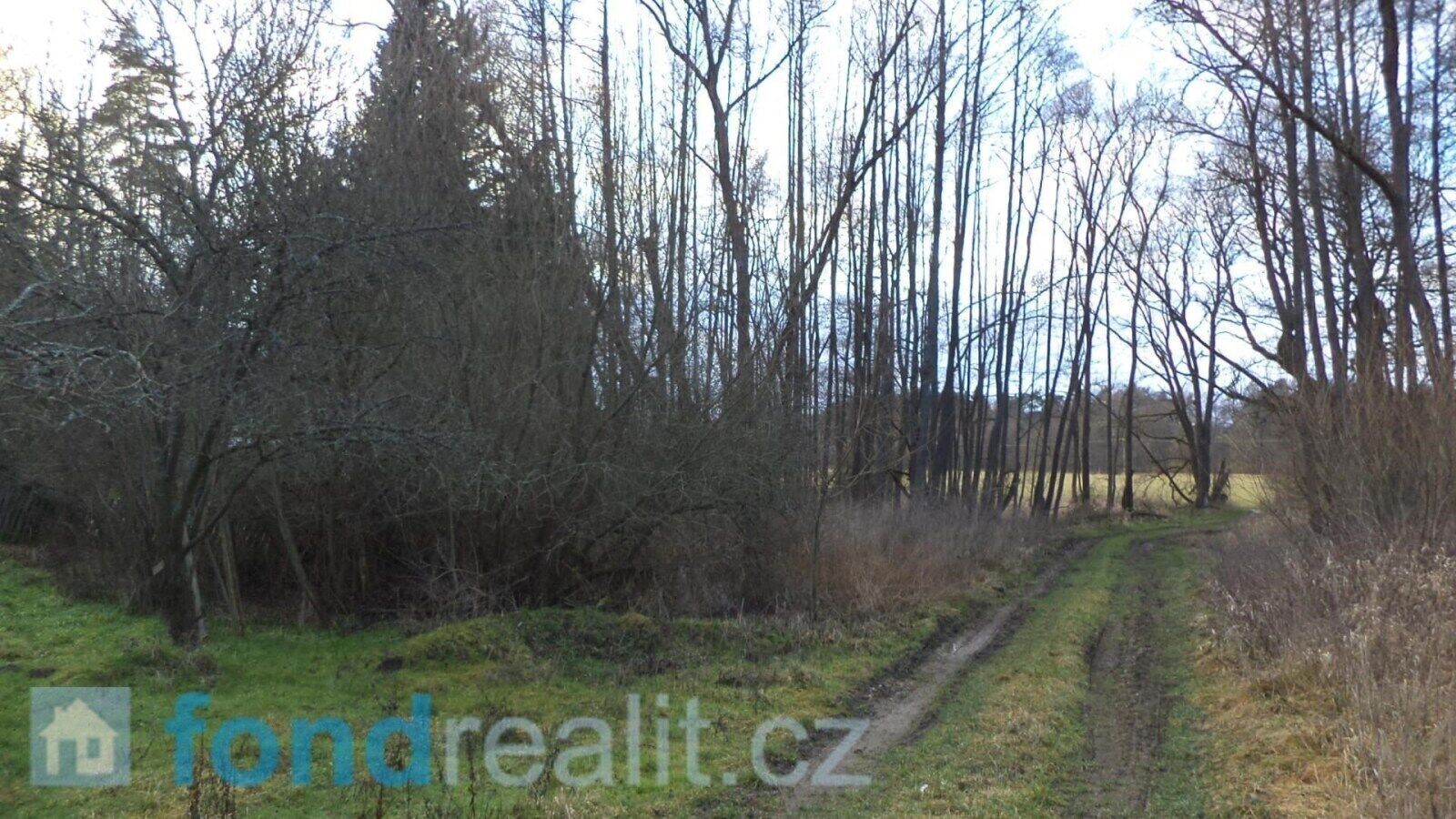 Prodej nemovitosti 8532 m² - foto 1