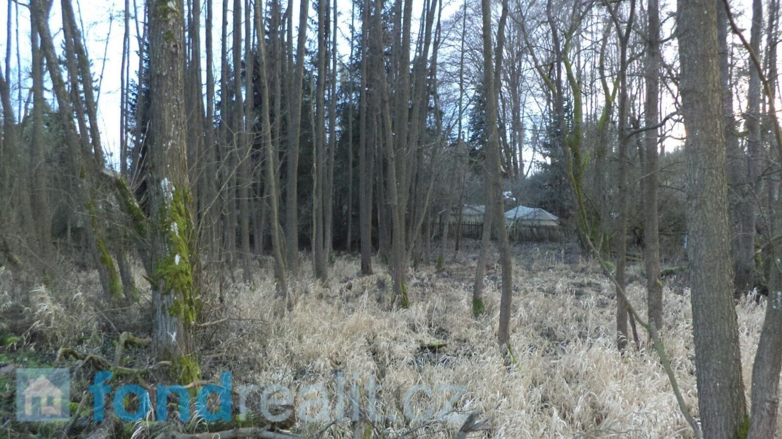 Prodej nemovitosti 8532 m² - foto 2